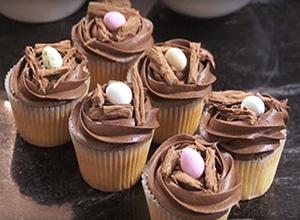 Bird’s Nest Chocolate Cupcakes | Kitchen Geekery