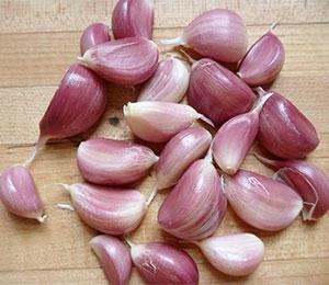 Garlic sauce | Kitchen Geekery