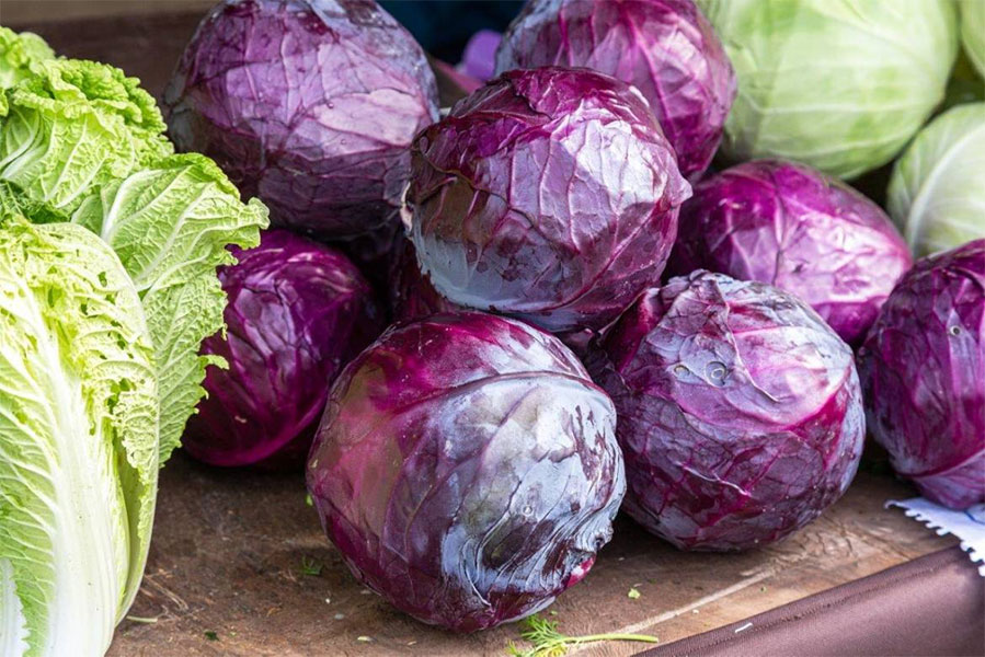How to cook red cabbage